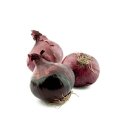 Produkt, dass nicht in den Warenkorb gelegt werden kann