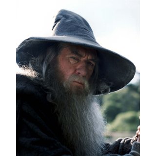 Gandalfs Buch