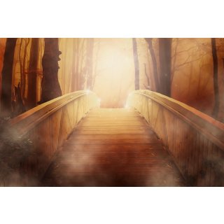 Kopie von Originalartikel2