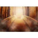 Kopie von Originalartikel2