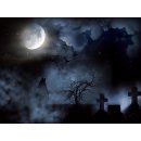 Kopie von Originalartikel3