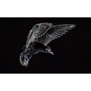 Fie&szlig;er P&auml;yPal "Artik&ouml;l" &amp; Test