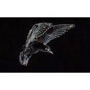 Fie&szlig;er P&auml;yPal "Artik&ouml;l" &amp; Test